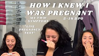 How I knew I was pregnant before BFP  Early pregnancy symptoms Faint positive 10DPO TWW [upl. by Kone]