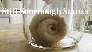 How to make Pasta Madre Lievito Madre Stiff Starter Beginner’s Sourdough starter 生地状サワー種の作り方 [upl. by Eyar]