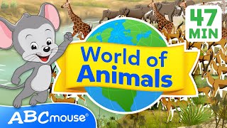 🐾 Explore the World of Animals 🌍  47 Minute Full Episode  Compilation for TV  ABCmouse for Kids [upl. by Anayt]