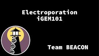 iGEM101 Lab How to do electroporation shorts biology igem [upl. by Tray]