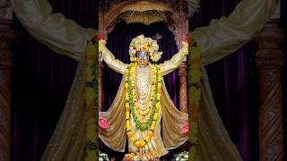 mayapur isckon harekrishna harerama youtube viralshort [upl. by Annaitat]