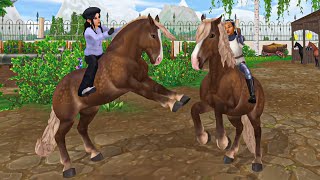 WAS KOMMT NOCH ALLES SCHRANK UPDATE 🐴  Star Stable SSO [upl. by Esenaj]