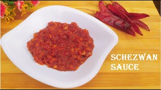 schezwan sauce recipe  schezwan chutney recipe  how to make schezwan sauceEP 143 [upl. by Dnivra431]