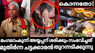 മംഗലാംകുന്ന് അയ്യപ്പന് സംഭവിച്ചത് എന്ത്നല്ല ആനകൾ എല്ലാം നഷ്ട്ടപെട്ടു കഴിഞ്ഞു [upl. by Brecher318]