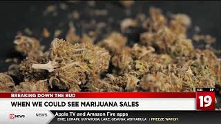 Ohio recreational marijuana sales could begin this summer [upl. by Eupheemia]