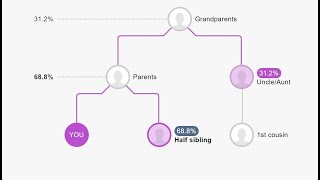 How to upload your DNA data to MyHeritage [upl. by Wenn]