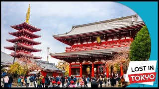 Exploring Asakusa Sensoji Temple New Year 2024LIVE Street View Experience [upl. by Oilasor683]