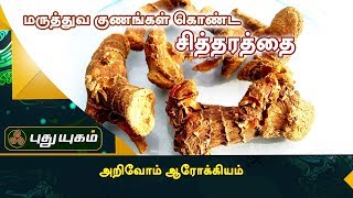 சிற்றரத்தை  சித்தரத்தை மருத்துவ குணங்கள்  அறிவோம் ஆரோக்கியம்  Puthuyugam TV [upl. by Hobbie]