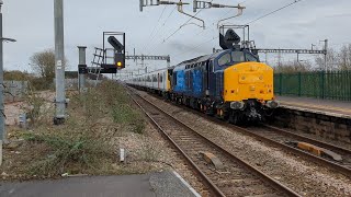 Class 37 800 opens the throttle through Severn Tunnel Junction [upl. by Sheeb]