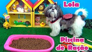 Lola na piscina de ração O sonho de todo cachorro e gato cachorrinho brincadeiras pets [upl. by Alyworth]