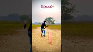 💥💥💥💥 cricket ausvssllivematchtoday cricketlover livesports icccwc2023 ipl cricketfans [upl. by Yelnoc]