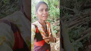 Onka alum pajayena in do gorm haram santali video youtube 👍👌❤️🌹 [upl. by Amyas380]