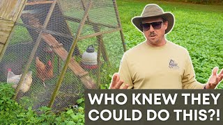 FREE Benefits of Cover Crops You Didnt Know About [upl. by Blainey851]