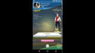 Pokemon Go Egg In Gym Glitch  Bug  Hack [upl. by Oine]