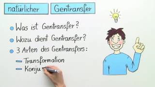 NATÜRLICHER GENTRANSFER  TRANSFORMATION KONJUGATION TRANSDUKTION  Biologie [upl. by Esirec2]