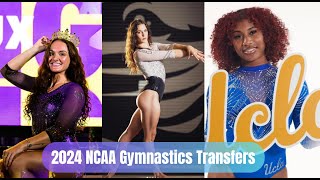 2024 NCAA Gymnastics Transfers [upl. by Neuberger272]