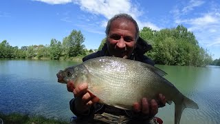 Pesca al colpo gardon e breme [upl. by Ondrej]