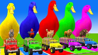 5 Giant Duck CartoonCowMammothTigerLionDinosaurPaint Wild Animals Crossing Fountain Animation [upl. by Ardena]