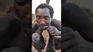 Unbelievable😲 breakfast Meal🤤 Hadzabe tribe boys enjoy eating Meals culture food hadzatribe [upl. by Basilio715]