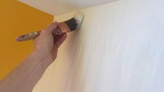 How To Paint Textured Vinyl Wallpaper  Spencer Colgan [upl. by Nnyroc]