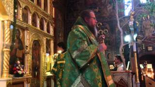 Met Jonah OCA Homily on Pentecost 2015 at Holy Trinity Monastery [upl. by Kimble]