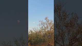 Plane spotting moon sighting [upl. by Kedezihclem]