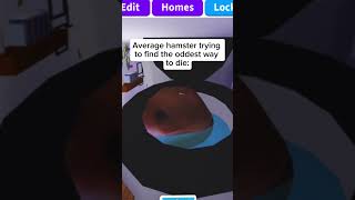 Average hamster death gaming roblox adoptme trending fyp [upl. by Dimphia]