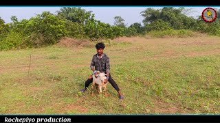 Kuli khatir  New santali comedy video 2024  viralvideo  funnyvideo  Kochepiyo Production [upl. by Ambert467]