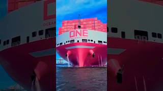 कंटेनर जहाज में क्या क्या समान जाता है । 🚢⚓MSC ENTRY IN LAST shipping shorts subscribe 1000subs [upl. by Aihsoem]