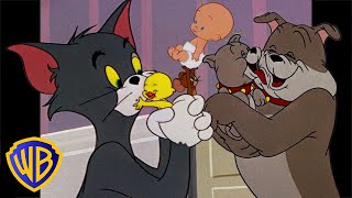 Tom amp Jerry  Family Time  Classic Cartoon Compilation  wbkids​ [upl. by Maxim254]