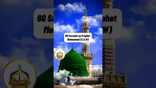 💚60 Seconds on Prophet Muhammad SAWislamiclearning muhammadﷺ rabiulawalspecial shortsfeed [upl. by Malamud]