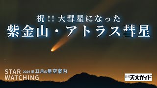 祝！大彗星になった紫金山・アトラス彗星【11月の星空Part2】 [upl. by Sallyann136]