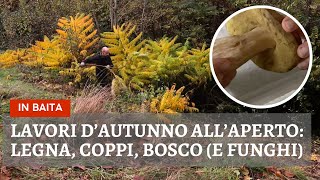 Weekend autunnale rilassante nel bosco della baita faccio ordine allesterno Ep 65 [upl. by Tiana]