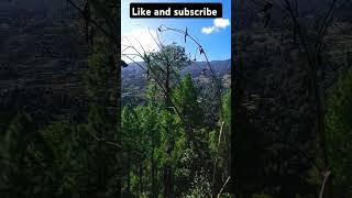 Tharali chamoli hillsation nature travel music bollywood [upl. by Alitha330]