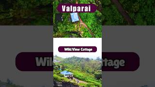 Wild View Cottage Valparai 🔥 3BHK 🏕️ travel [upl. by Ecinuahs]