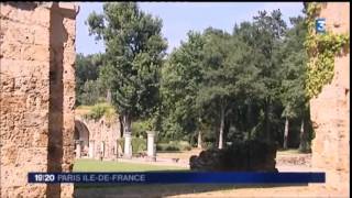 Reportage France 3  30 juillet [upl. by Seuqirdor]