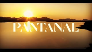 Pantanal 2022  Abertura Alternativa da nova novela das 9 da TV Globo [upl. by Rehpotsirhcnhoj]