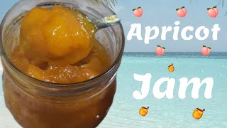 Apricot Jam recipe fyp [upl. by Cathrin]