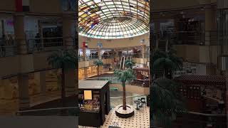 Dubai II Rashidiya Spinneys viral shorts dubaiviral viralshorts viralvideos foryou [upl. by Nwahsear]