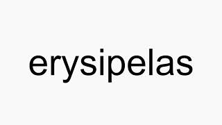 How to pronounce erysipelas [upl. by Barty562]