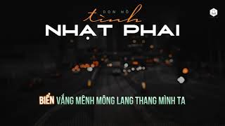 HOA VIỆT KARA  Karaoke Tình Nhạt Phai  Lưu Đức Hoà [upl. by Neelloc482]