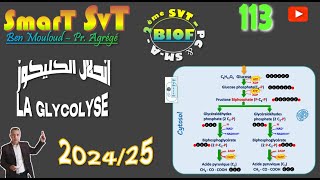 113 La Glycolyse 2024 [upl. by Teeter]