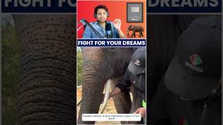 Suda The painter elephant  Artist elephant  Fight for your dreams  Motivational speech  Love [upl. by Lorna]