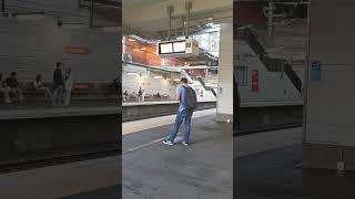 NSW Trainline🚂Stopping at Wolli Creek Train Station NSW Australia short nswtrainlink sydneytour [upl. by Brigitte]