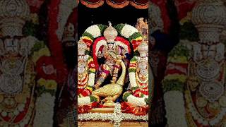 🏵️omnarayanaom namo narayanaPerumalSong​ ​ NamoNamoSriNarayana​ SrinivasaGovinda​ SriVenkatesa [upl. by Eeruhs240]