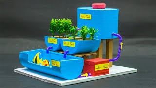 Science Projects  Aquaponic Farming Model [upl. by Cyrille]