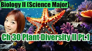 Ch 30 Plant Diversity II Part 1 [upl. by Aynik]