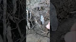 Did I find something dropped by an Indian  Indian Arrowhead Found  Artifact Field Hunting in Ohio [upl. by Solegnave908]