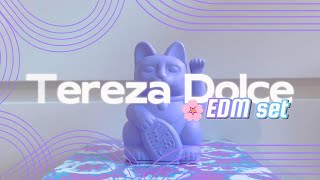 🌸 EDM Set 2024  DnB Melodic House Melodic Techno by Tereza Dolce [upl. by Free]