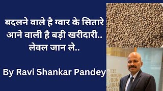 अब बदल जाएंगे ग्वार के सितारे आने वाली है बड़ी खरीदारी लेवल जान लेRavi Shankar Pandey [upl. by Etz]